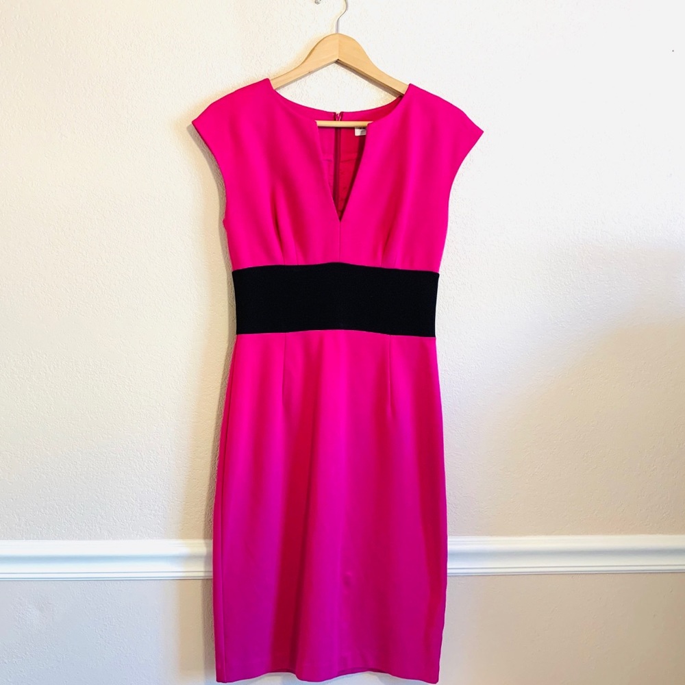 Gorgeous Trina Turk Slim Fitting Career Dress